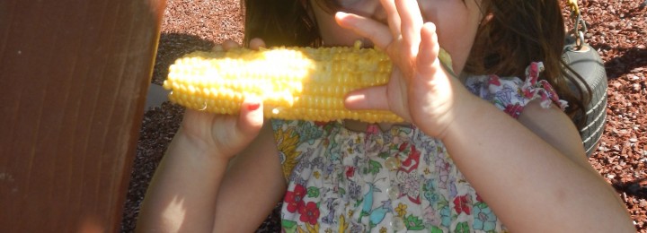 Processing Corn!